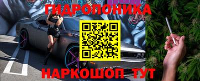 индика Кимры