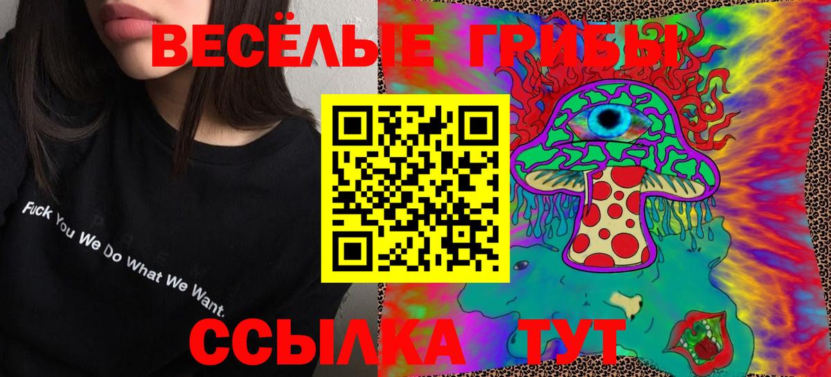 Камышлов  закладка  Галлюциногенные грибы мицелий  Вход с VPN  Псилоцибиновые грибы мицелий 