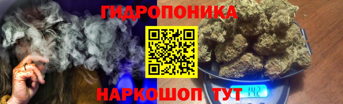 Бошки марихуана гибрид Камышлов